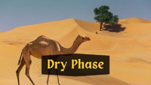 Spiritual Desert, the dry phase